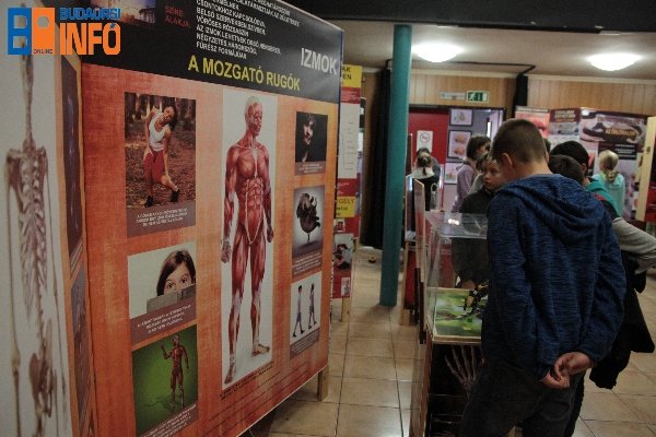 testunkacsoda_ifiklub-6