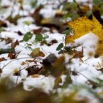 havazas_behavazott_falevelek_idojaras_tel_2016nov6