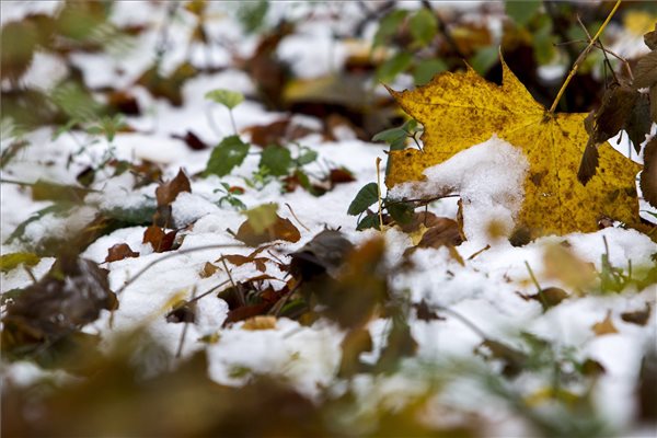 havazas_behavazott_falevelek_idojaras_tel_2016nov6