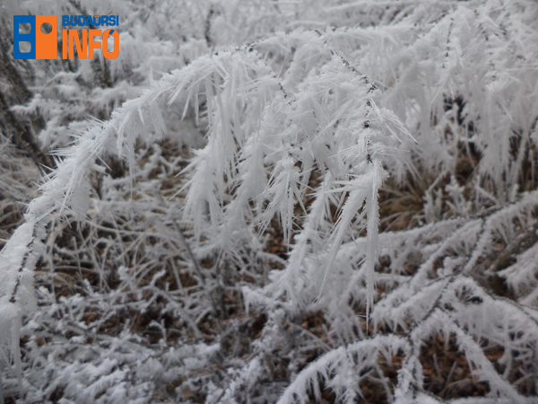 budaorsi_hegyek_tel_zuzmara_jeg_fagy_teli_idojaras_1