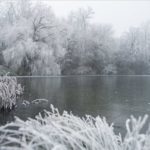 tel_teli_idojaras_fagy_hideg_branya2016