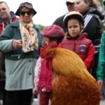 17_04_29_gazdaolimpia (21)