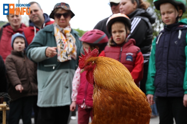 17_04_29_gazdaolimpia (21)