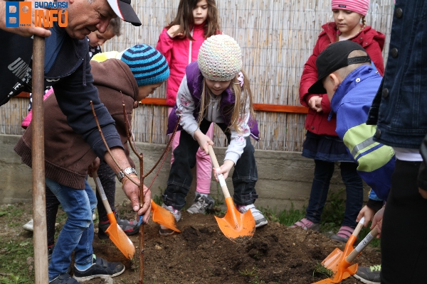 17_04_faultetes_mindszenty (8)