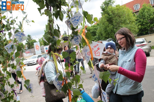 faultetes_17_05_09_babagenetika (4)