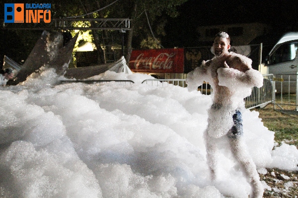 17_06_24_vizhagnfesztival (13)