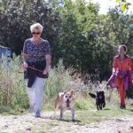 MSD_Animal_Health_02