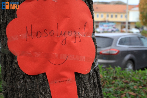 17_10_25_mosolycetli (9)