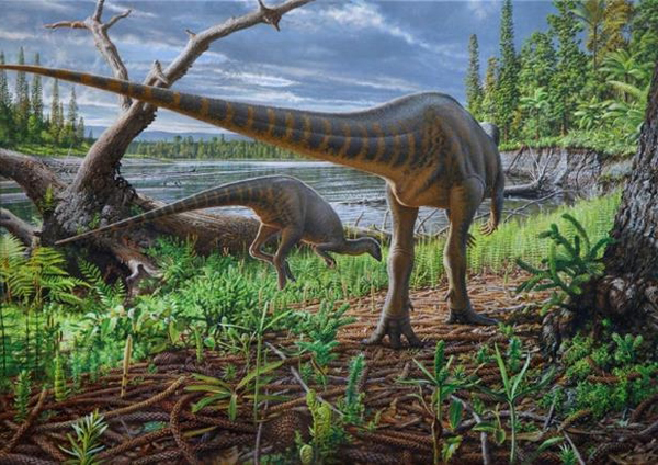 Diluvicursor_pickeringi_pulyka_meretu_dinoszaurusz_ausztralia