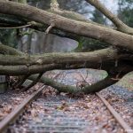 orkan_szel_vihar_3_2018jan_nemeto