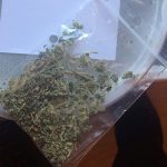 rendorseg_kabitoszer_0