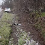 rendorsegi1_2018marc23