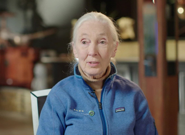 Jane_Goodall
