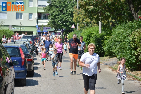 18_05_12_nyulcipo_zippelzappel (6)