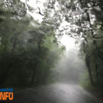 esos_felhoszakadas_erdo_esozes