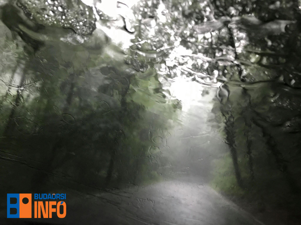 esos_felhoszakadas_erdo_esozes