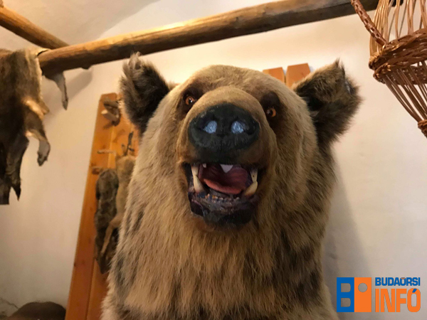 medve_diosgyori_var_2018