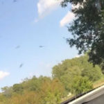 orias_moszkitok_usa_2018szept