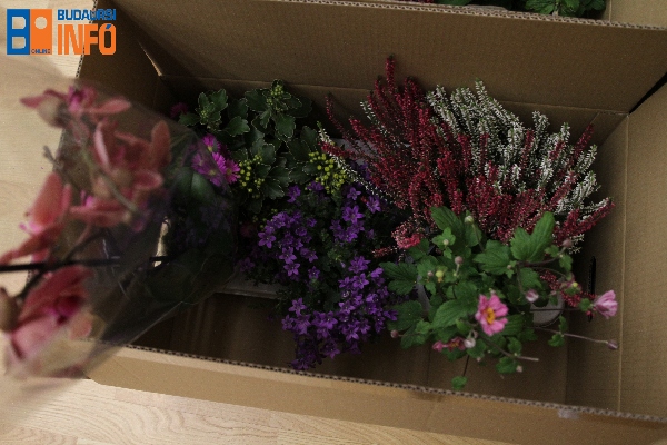 viragosbudaors18 (3)