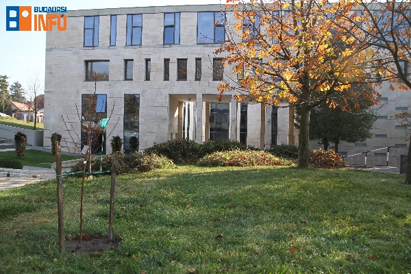 oszibarackfaultetes_kertbaratok18_11_09 (3)