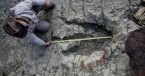 megtalaltak_egy_145_millio_evvel_ezelotti_vadaszat_nyomait-600x315-crop