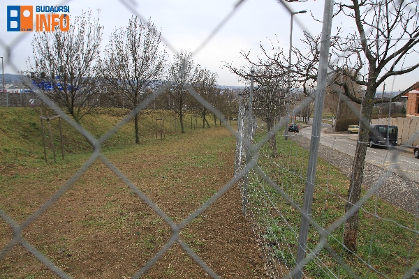 ujkutyafuttato1903 (4)