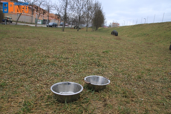 ujkutyafuttato1903 (8)