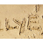 illyes_gimn_budaors_0