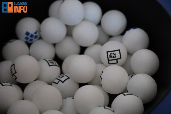 epiteszszuret_varoshaza2019 (4)