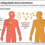 A nCoV-2019 vírus tünetei és terjedése