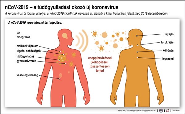 A nCoV-2019 vírus tünetei és terjedése