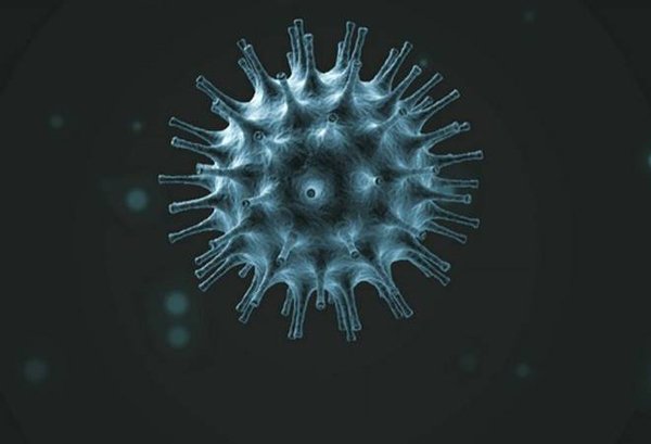 koronavirus_03