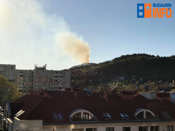 eg_az_erdo_budaorson2_2020apr10