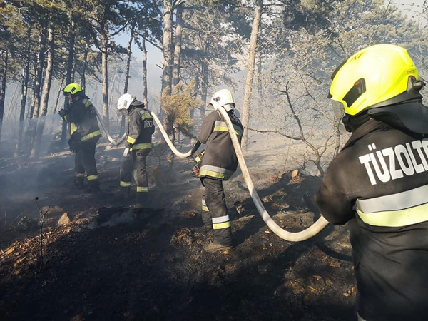 eg_az_erdo_budaorson3_2020apr10_budaorsi_tuzoltok_kepe