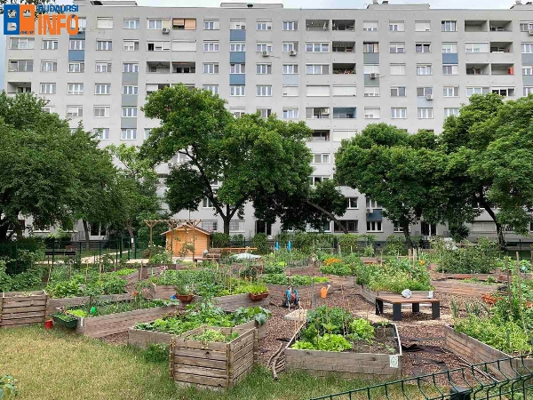 kozossegikertbudapestXIkerulet (2)