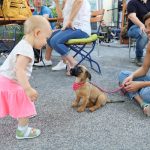 postartromanoglaszohet202006 (7)