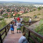 szemetszedes_10jocselekedet_budaorsino20200925 (37)