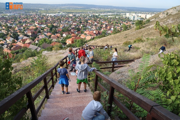 szemetszedes_10jocselekedet_budaorsino20200925 (37)