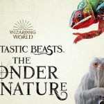 Fantastic Beasts_The Wonder of Nature_kiallitas_legendas_allatok
