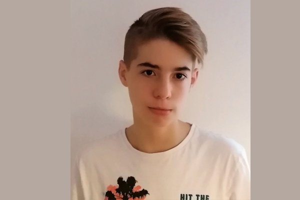 illyesesdiakaranydaniel