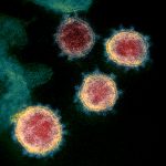 koronavirus_uj_mutacio_2020_SARS_CoV_2