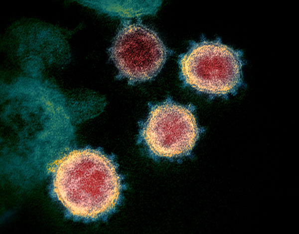koronavirus_uj_mutacio_2020_SARS_CoV_2