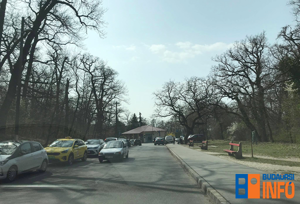 koranyi_budakeszi_koronavirus_oltas1_2021apr2