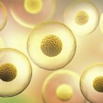 3d illustration of transparent cells with nucleus on purple background.