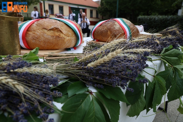 augusztus20_2021 (20)