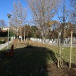 faultetes_onkormanyzat211112 (18)