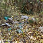 szemetszedes2021_nov7_nagyonnagy (7)