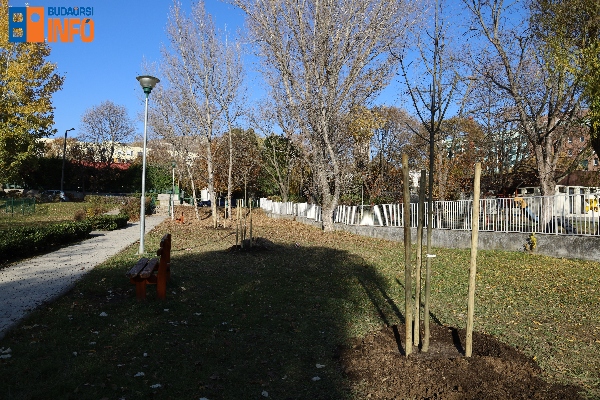 faultetes_onkormanyzat211112 (18)