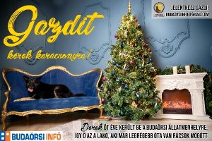 derekkaracsonya2021 (1)