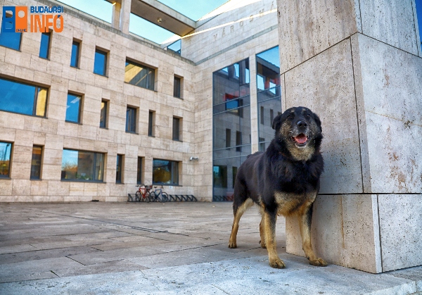 derekkaracsonya2021 (2)